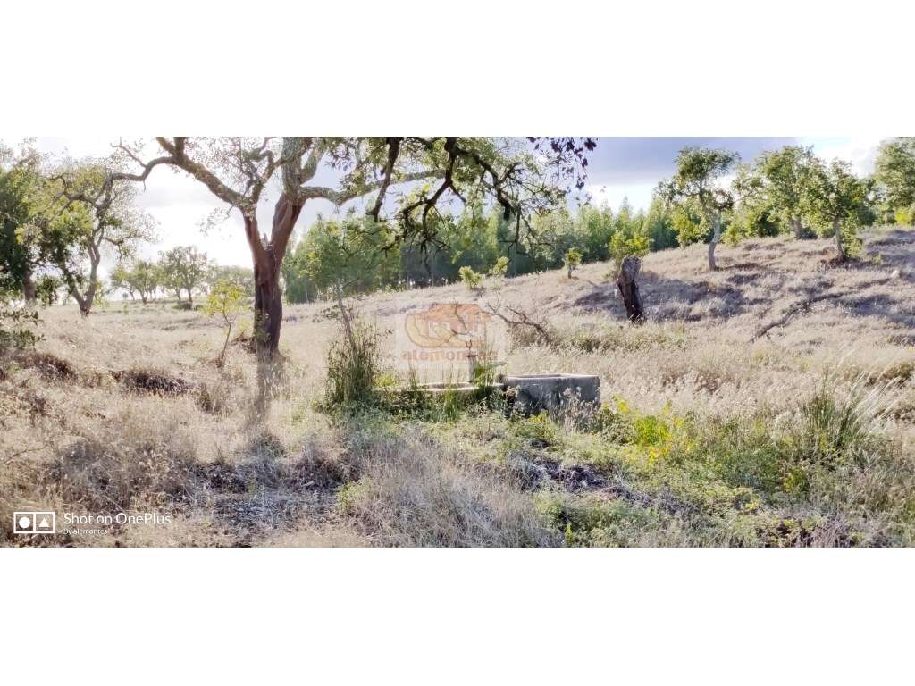 Monte Alentejano na Serra de Grândola com casa típica a 30 minutos ... - Grande imagem: 5/12