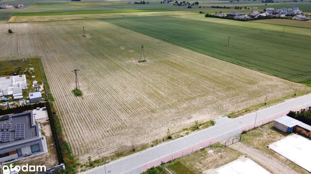 Działka Budowlana 1000m2 Żnin/Kasztanowa - Pełny obrazek: 5/5