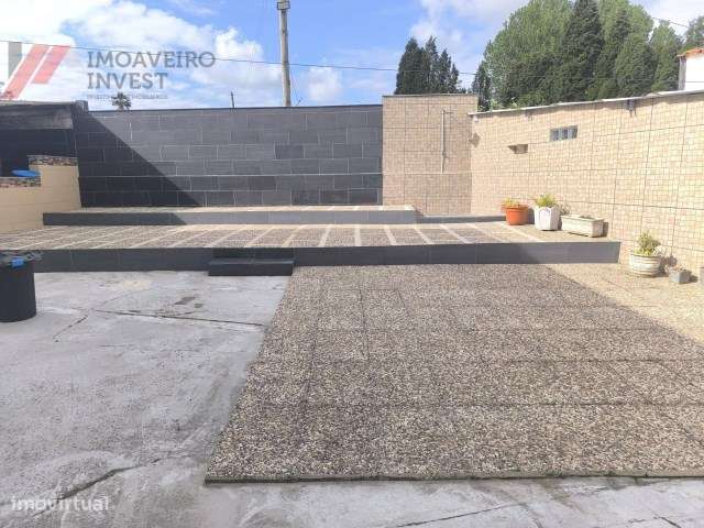 Quinta com Moradia Isolada e 4.450m² de Terreno Oiã Oliveira d Bairro-36