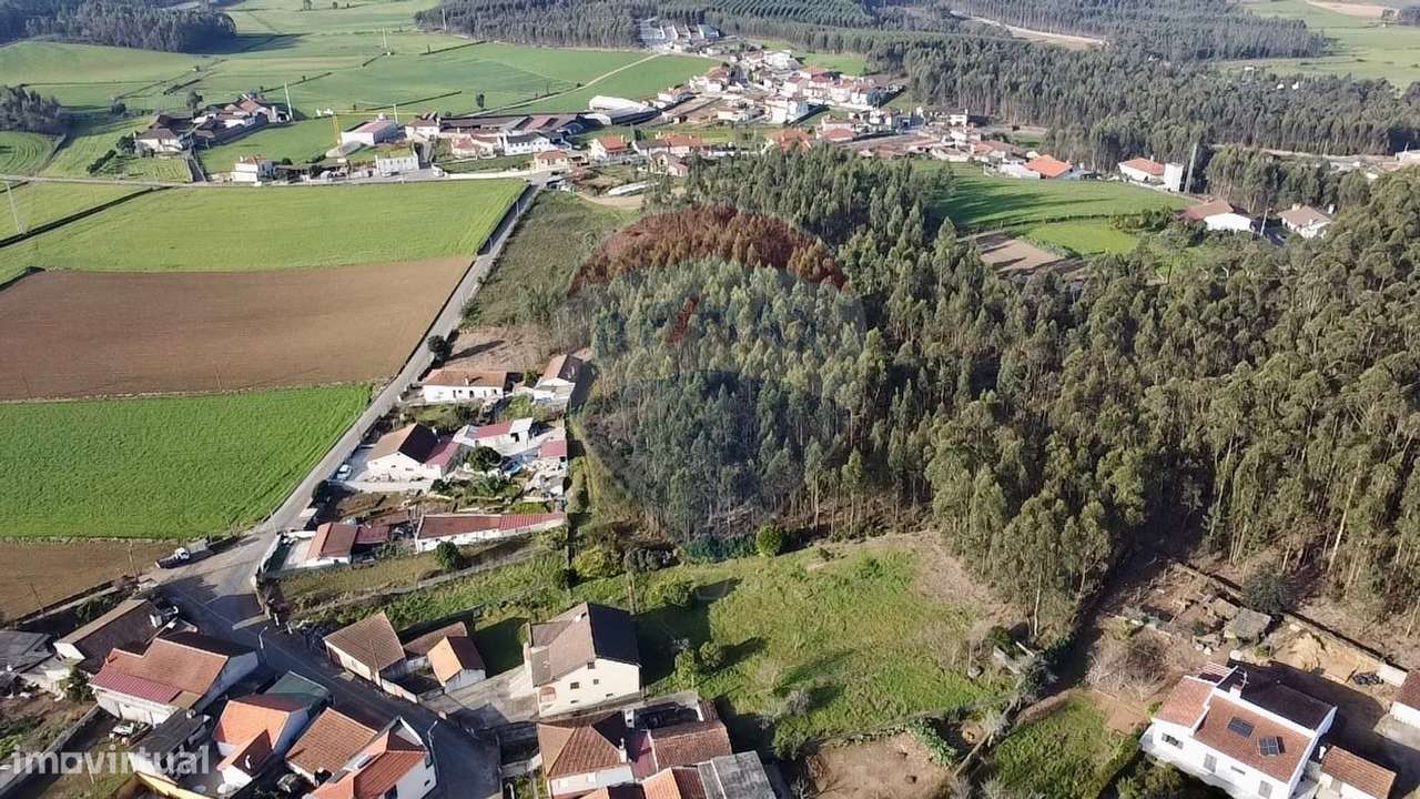 Terreno  para venda - Grande imagem: 5/9