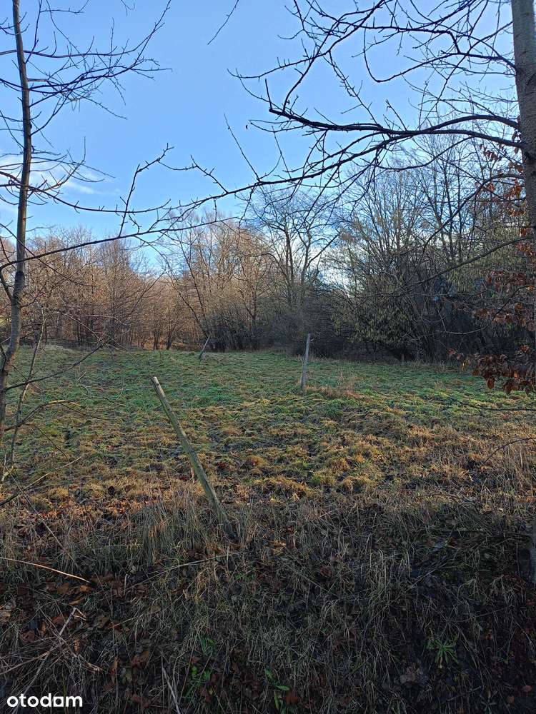 Działka rekreacyjna o pow. 16 ar Zabratówka gm. Chmielnik-0