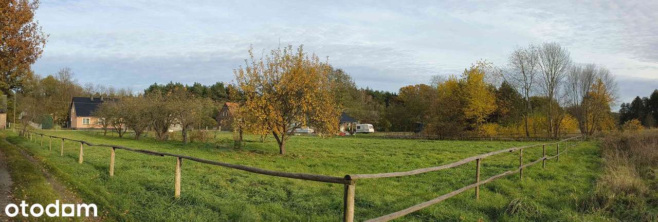 Działka rolna Miłów Krosno Odrzańskie - Pełny obrazek: 5/8