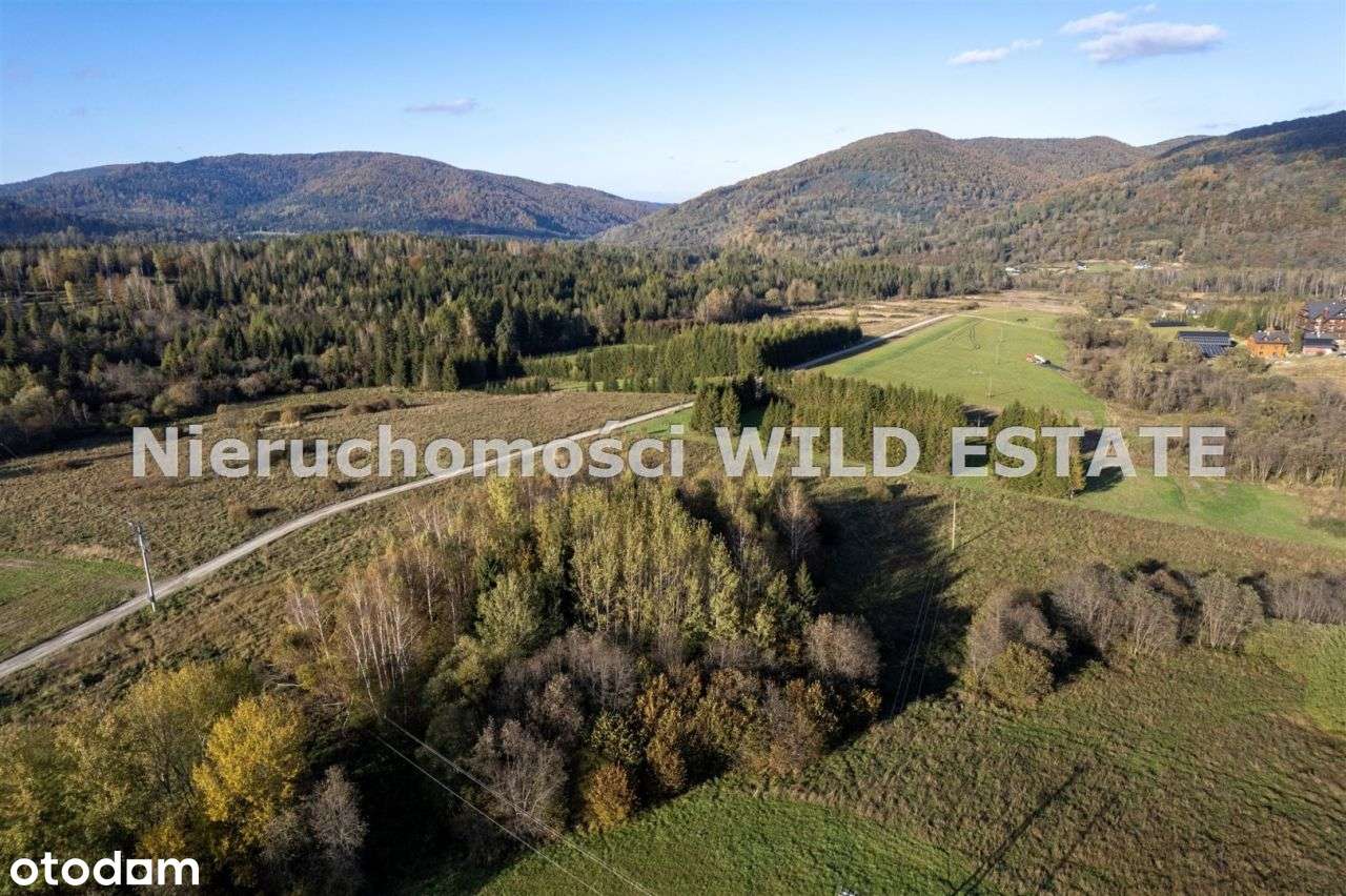 Działka, 13 196 m², Cisna - Pełny obrazek: 5/12