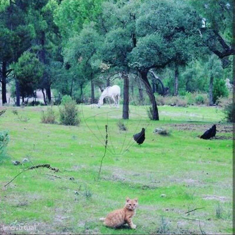 Quinta T2 para venda-37