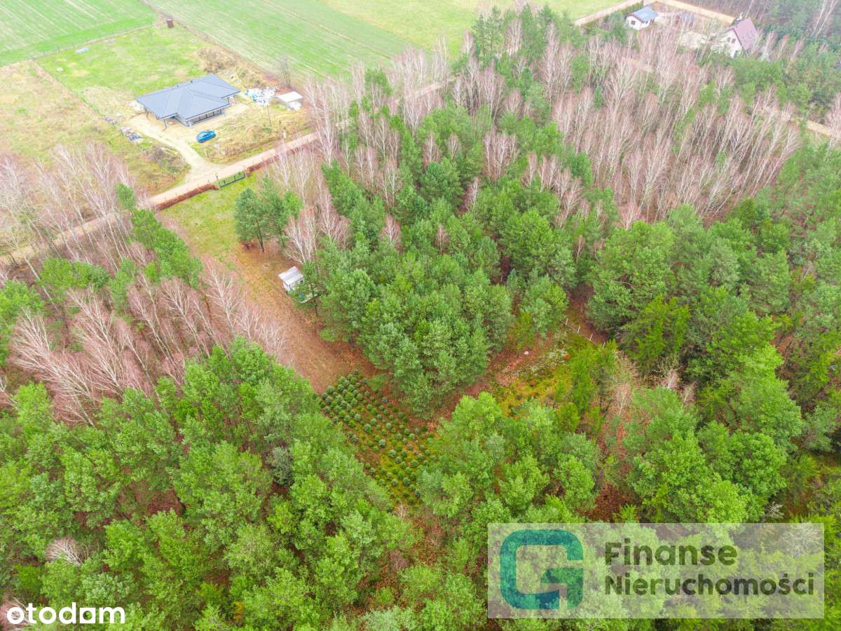 Działka Budowlana 3900 m² | Jeruzal - Pełny obrazek: 5/9