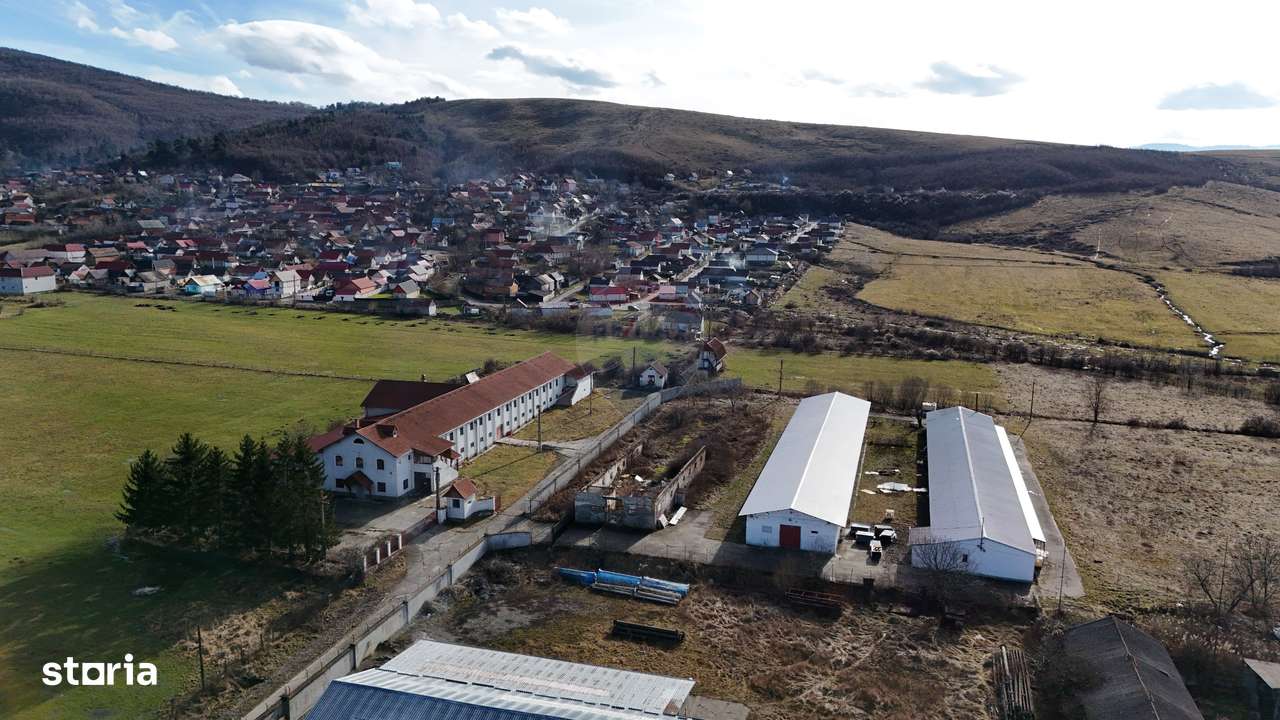 Teren industrial 1.729 mp I Demolare + construcție hală Teliu-9