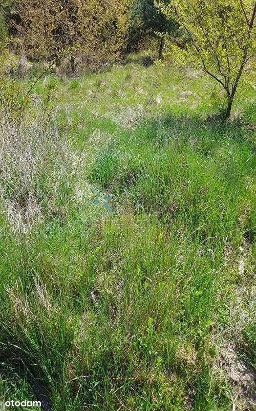 Działka ok.1261m2 Mpzp,media, Swarzędz - Pełny obrazek: 2/2