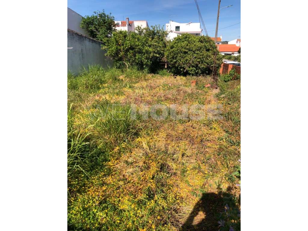 Terreno para Construção na Vila da Vidigueira - Oportunidade Única!-10