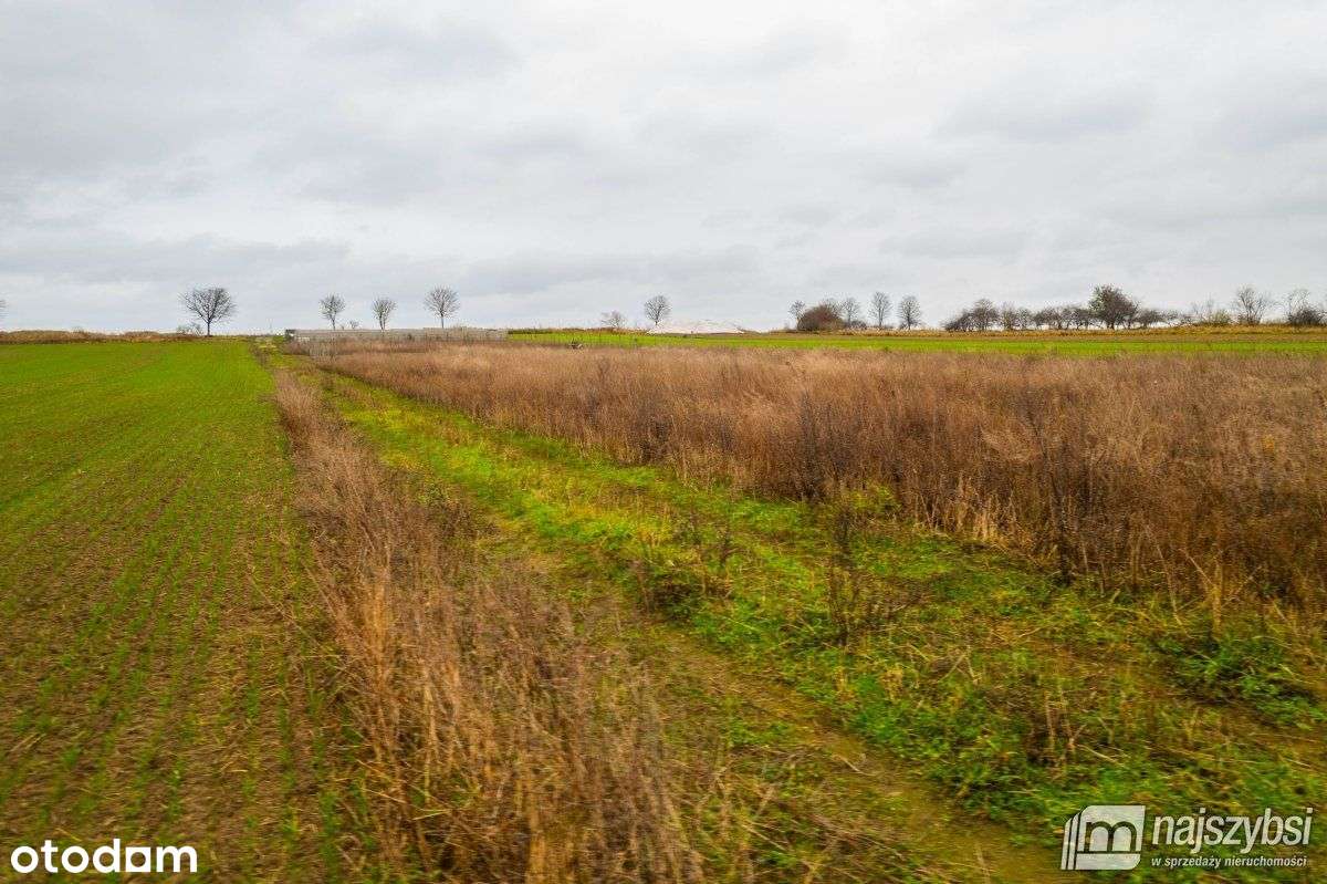 Małkocin - działka z warunkami zabudowy! - Pełny obrazek: 5/18