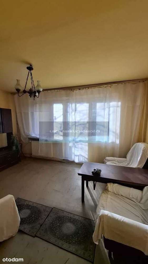 Przytulne mieszkanie z dużym ogrodem - Pełny obrazek: 4/8