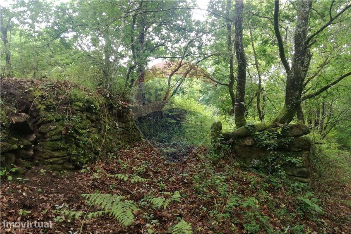 Terreno  para venda - Grande imagem: 2/44