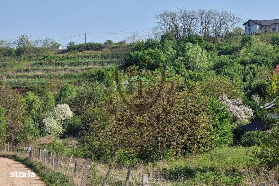 Teren intravilan in supr.de 1000 mp., deschidere generoasa,Valea Popii - Imagine principală: 2/2