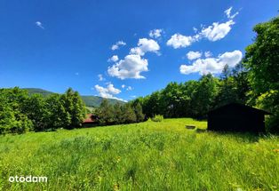 Dz. z pozwoleniem na bud. wokół las 2620m2 BRENNA