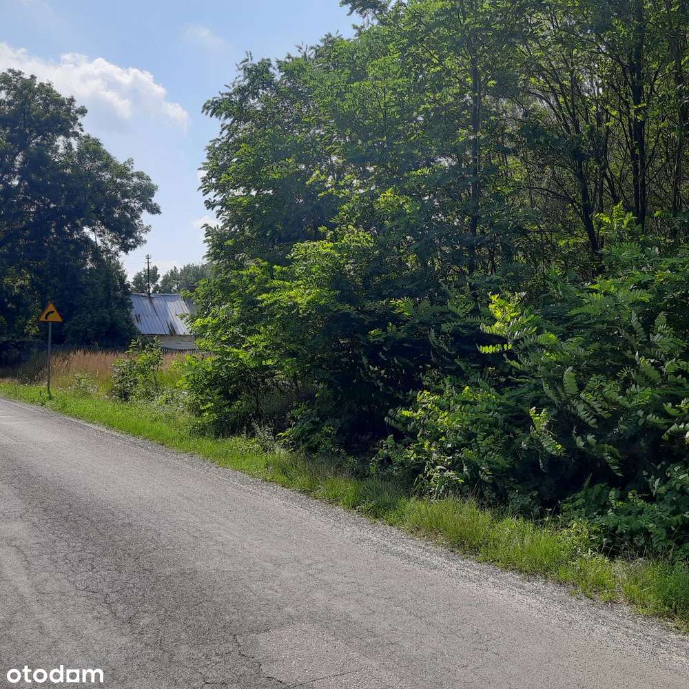 Działka rolna. - Pełny obrazek: 4/4