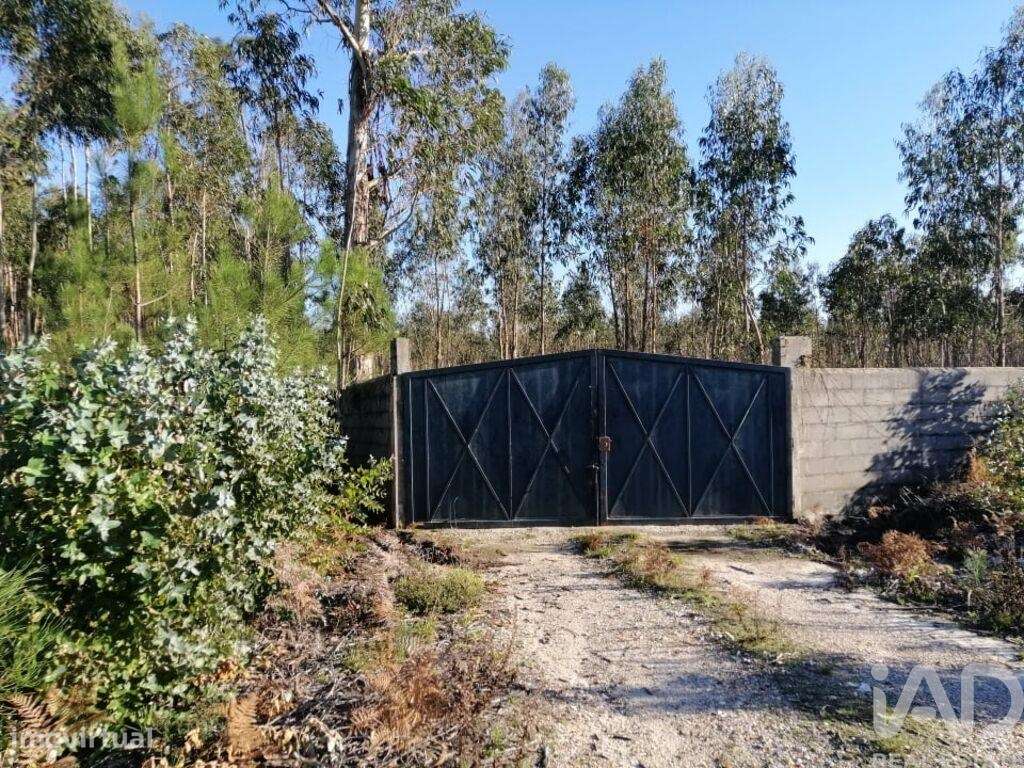 Terreno em Monte Real e Carvide de 140000,00 m2 - Grande imagem: 3/13