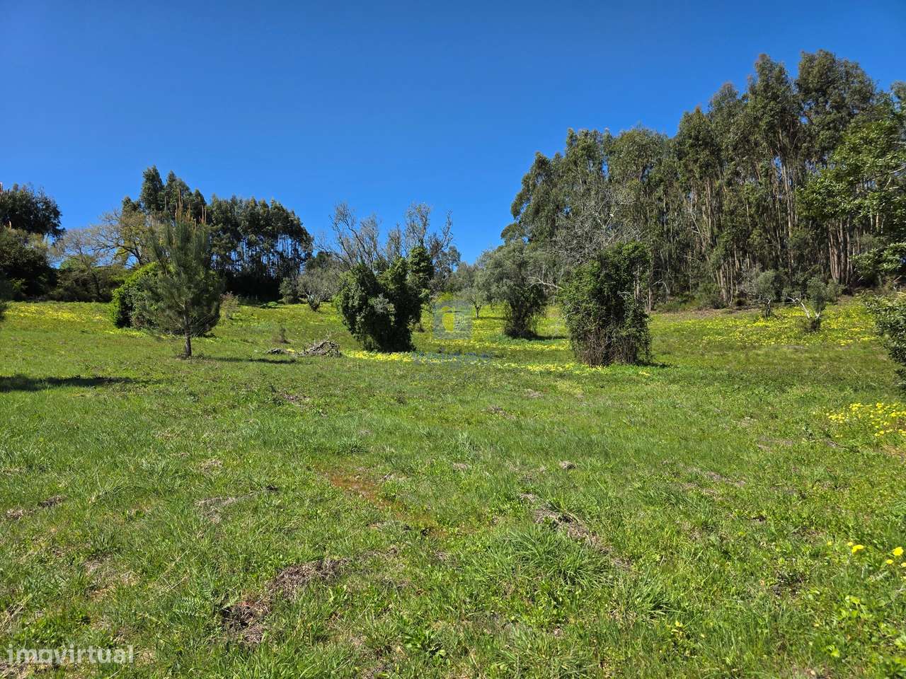 Terreno com 6.703m2, com viabilidade para construir 1 ou 2 casas até 6-0