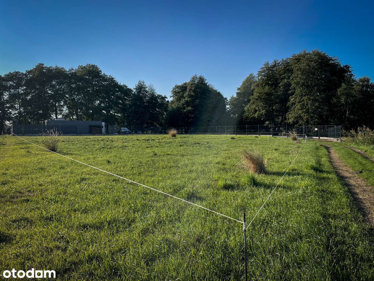 Działka nad jeziorem z Warunkami Zabudowy w Trzcińsko - Zdrój. - Pełny obrazek: 5/13