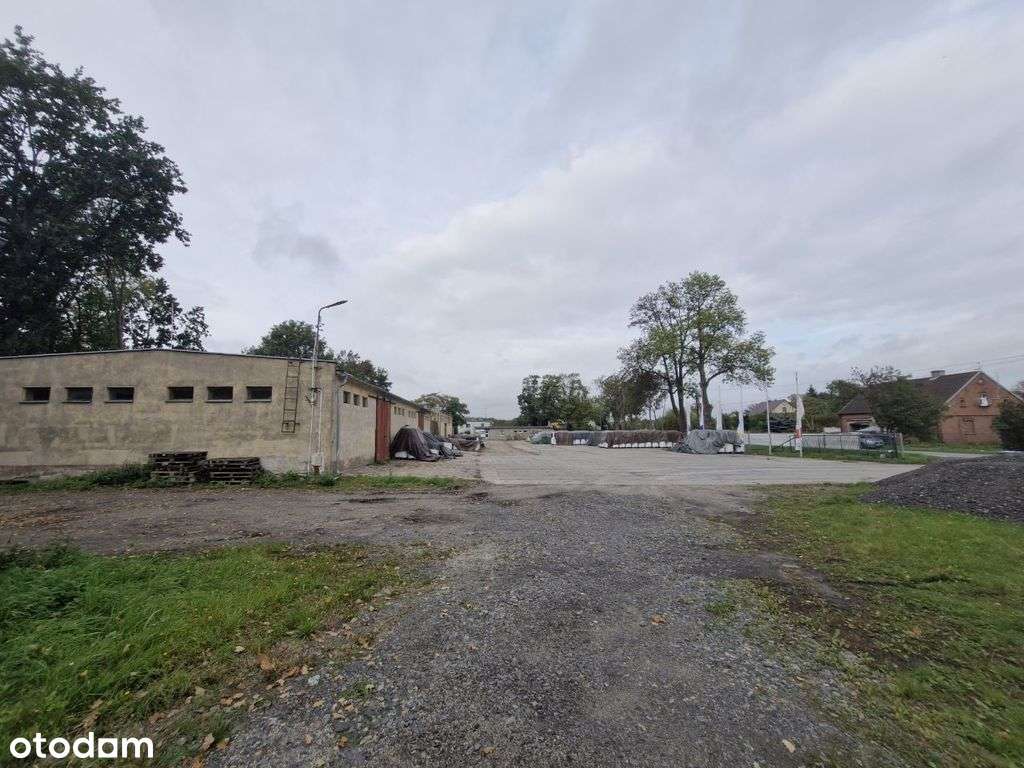 Nojewo, 10 km od Pniew, 1191 m2-4