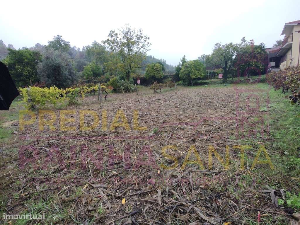 3 terrenos rústicos na totalidade tem 3628 m2 - Grande imagem: 5/14