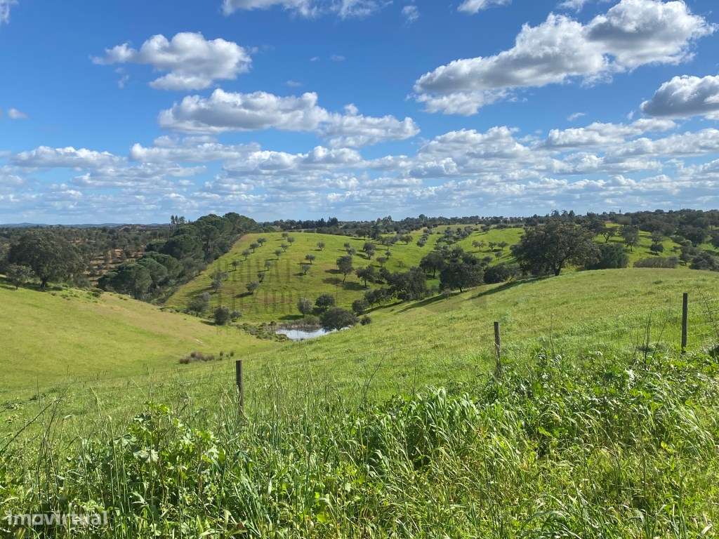 QUINTA T4, SERPA com uma vista fantástica , com duas barragens ...-56