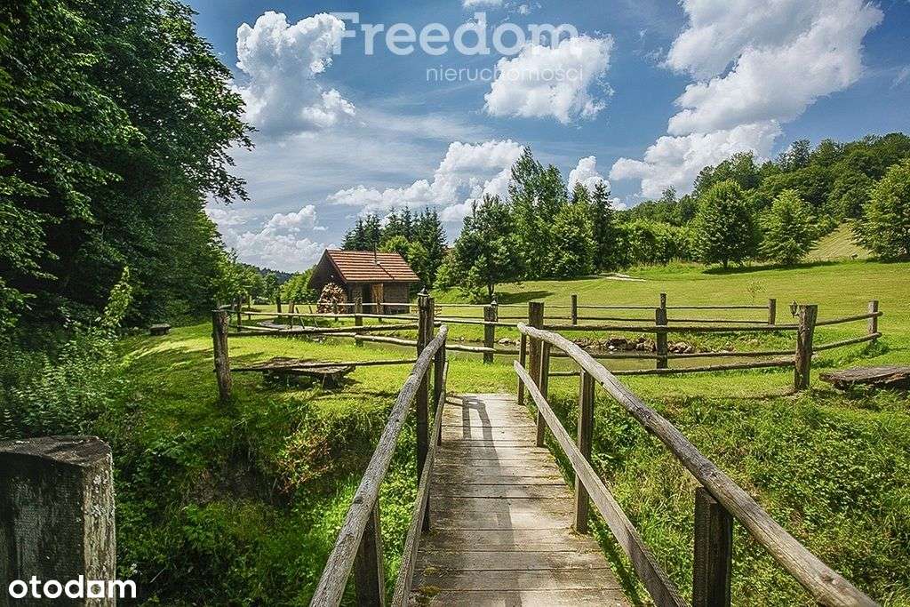 Dom w Bieszczadach-11