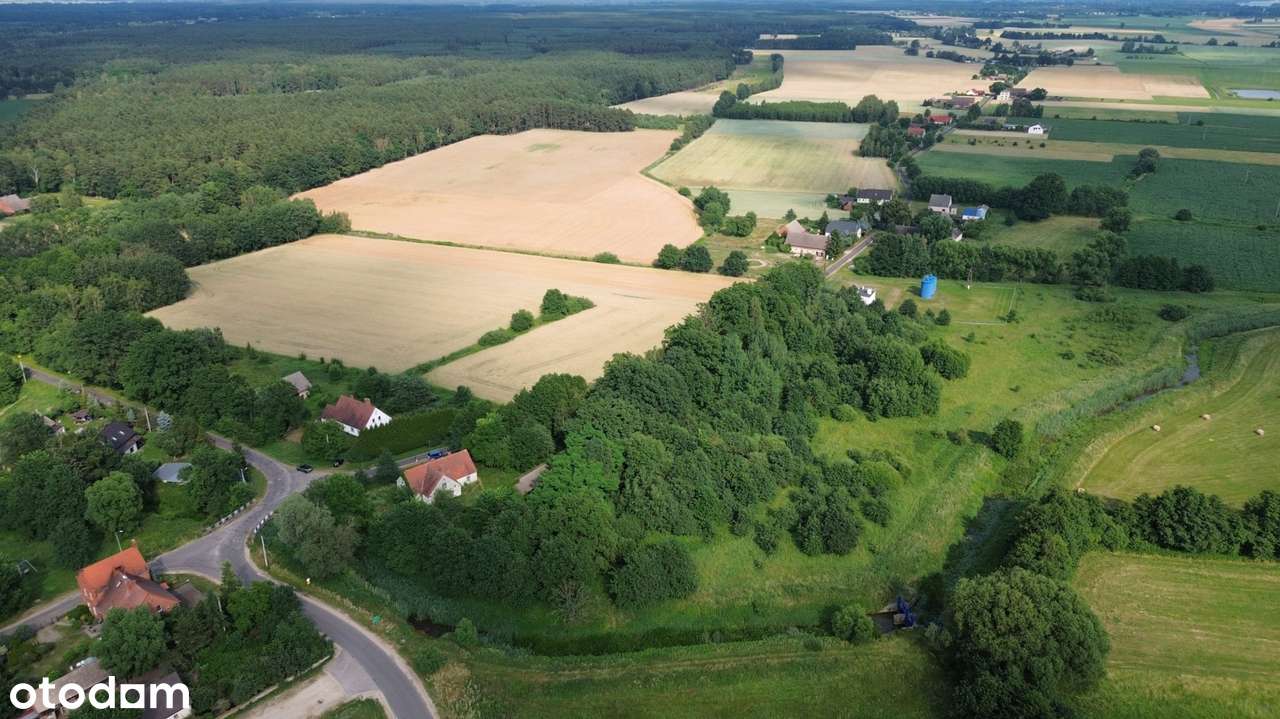 Wyjątkowa posiadłość w sercu lasu | Henrykowice k. Milicza | Dom 280 m-19