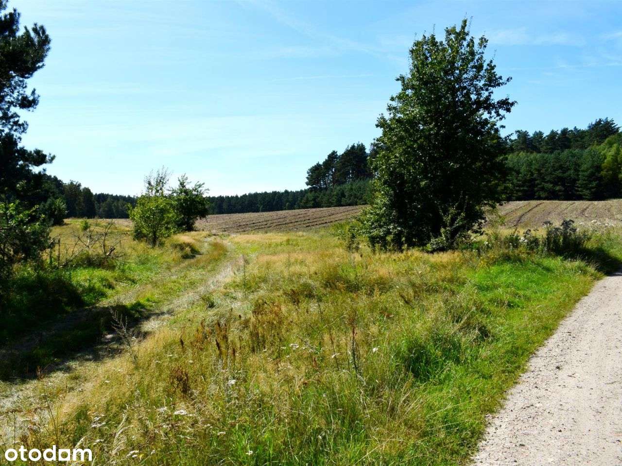 Działka rolna - Ostroróg-8