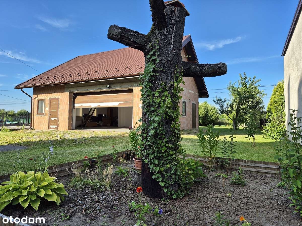 ŻABNO  dwa budynki na 13 arach, dom z widokiem na las-5