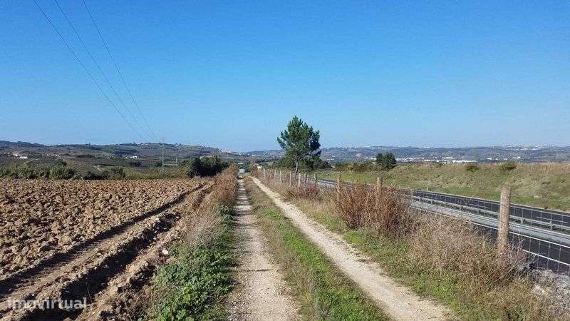 Terreno para arrendar em Bombarral junto da A8 - Grande imagem: 5/10