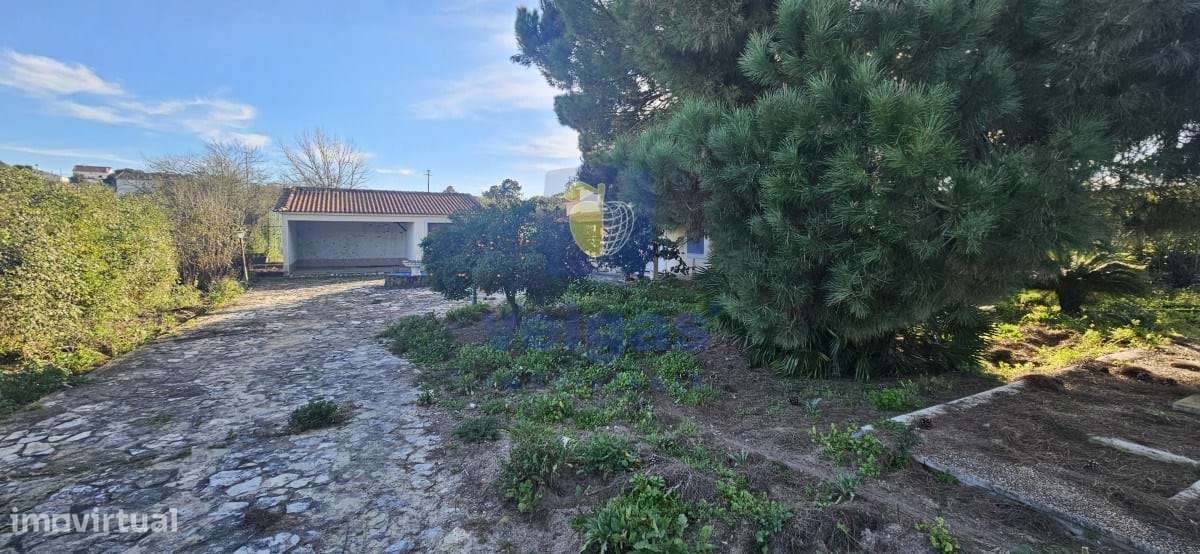 Moradia T3 Cartaxo-42