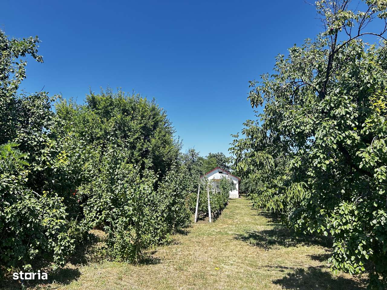 Casă de Vânzare Buzău Sat Cuculeasa - Imagine principală: 4/20