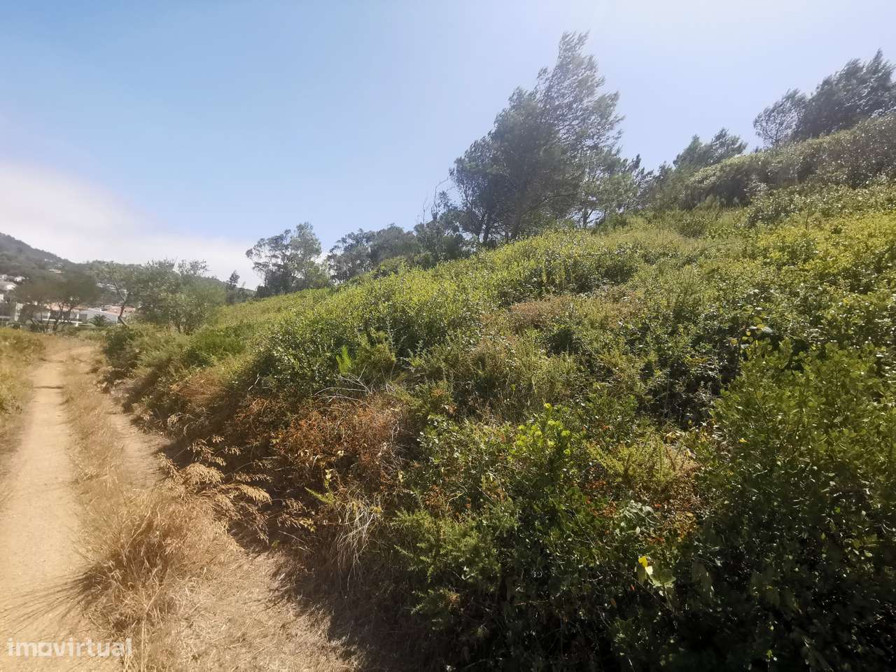 Terreno no centro de Janes - Grande imagem: 5/9