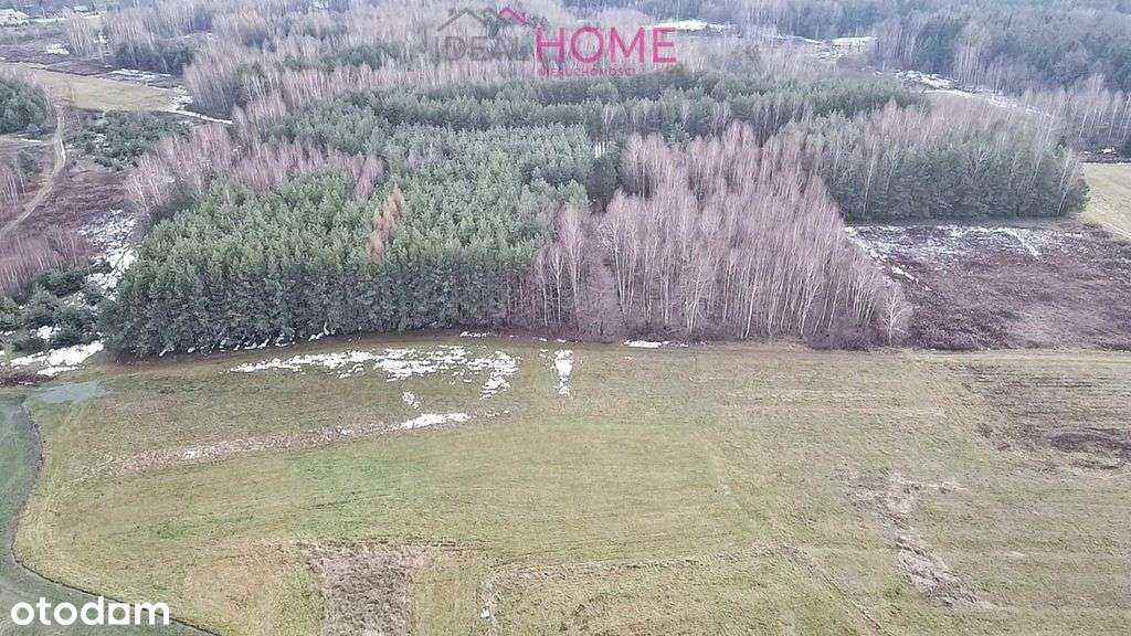 Działka rolna na sprzedaż - Kamień 17 ar - Pełny obrazek: 5/12