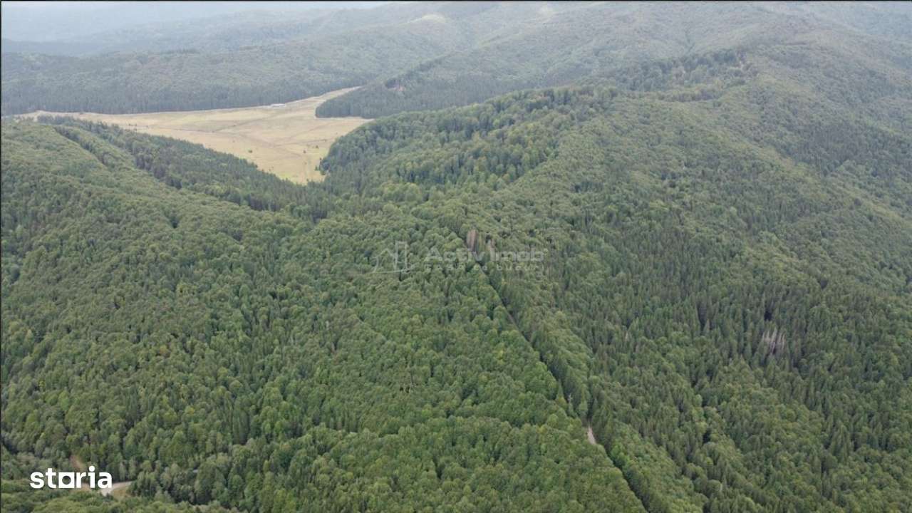 Teren 7 ha, Lac Vidraru, Podis Molivis-0