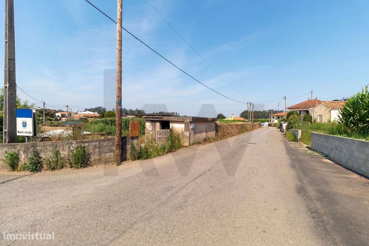 Terreno com Elevado Potencial para Investimento – Avanca, Estarreja-23