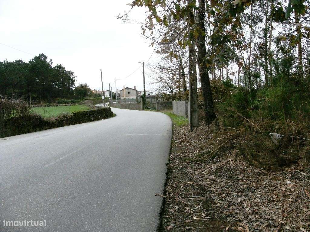 Bouça de Sejães - Grande imagem: 3/4