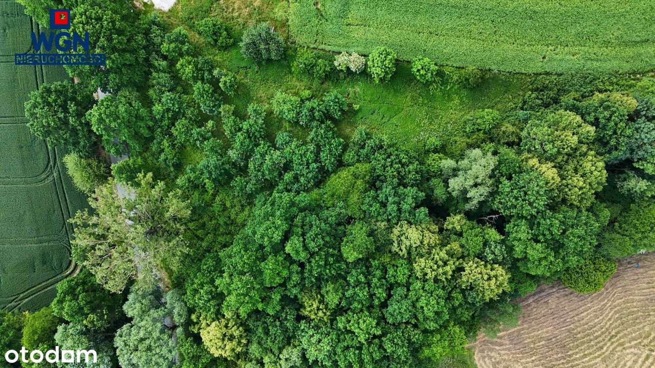 Polanica-Zdrój okolice, działka budowlana na sprzedaż.-10