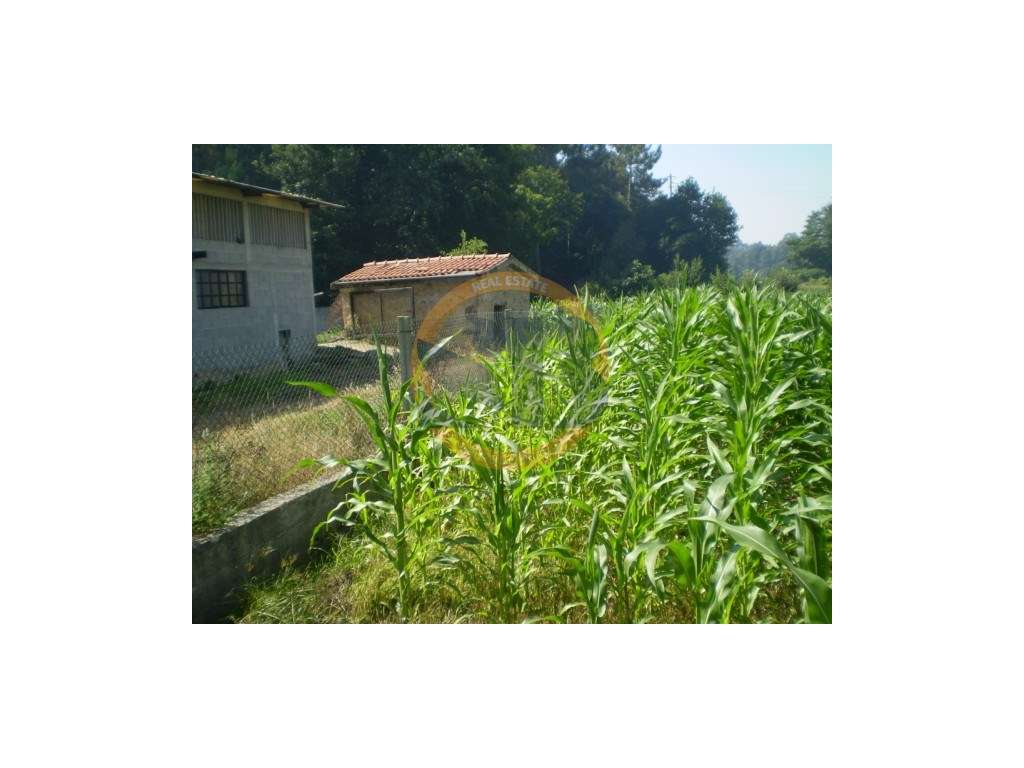 Terreno São João de Vêr - Grande imagem: 4/10