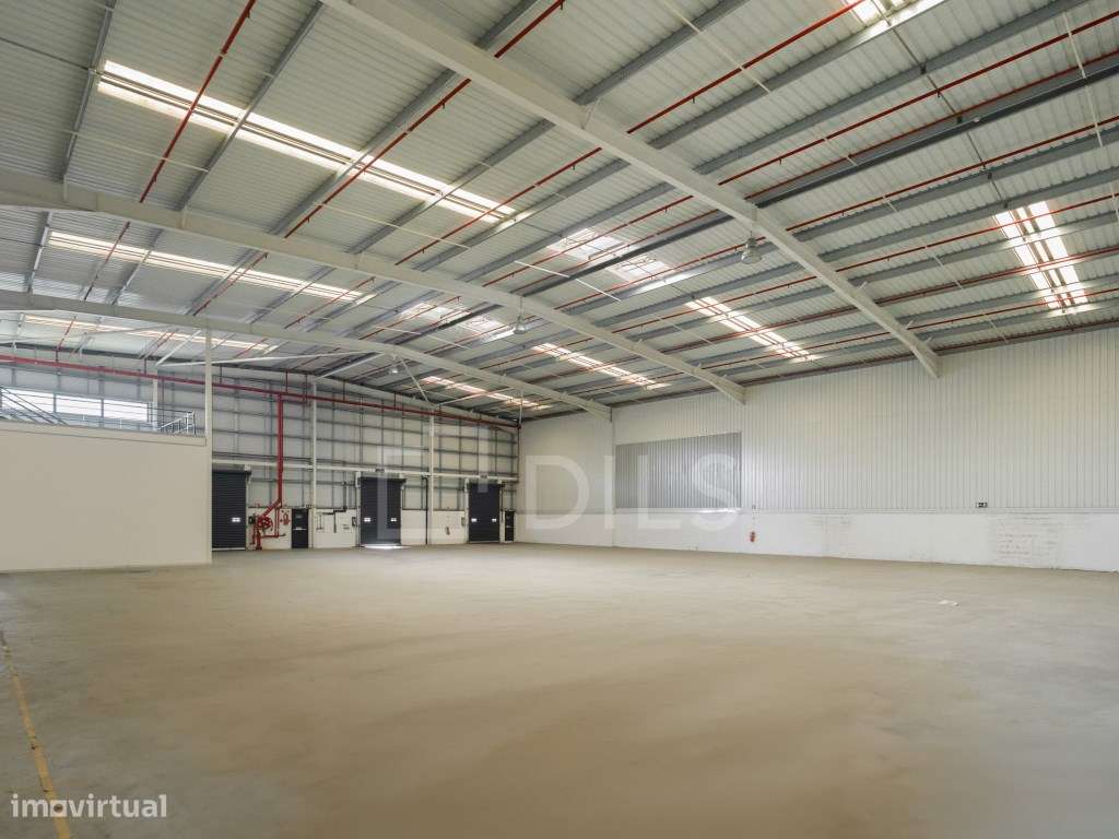 Armazém para arrendar - Centro Empresarial Imolezirias, Benavente - Grande imagem: 2/20