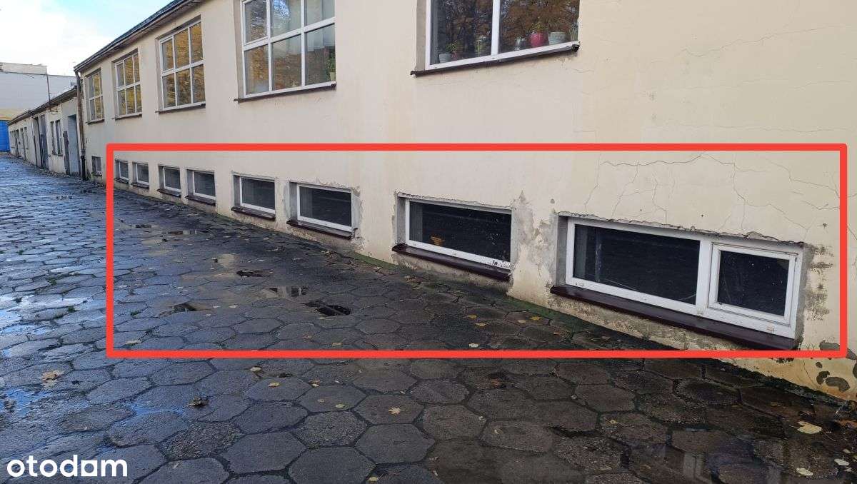 Chylonia 170m2 magazyn/pom. prod. (c.o. w cenie) - Pełny obrazek: 1/10