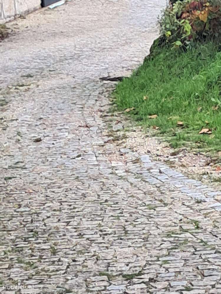 Terreno Rústico 1820m2 - Constance, Marco de Canaveses-10