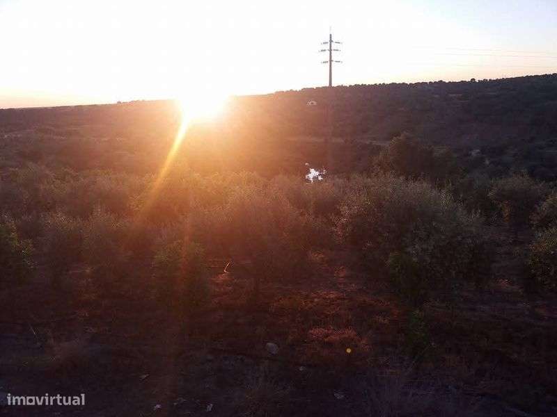 Terreno com 5..5 hectares - Grande imagem: 5/9