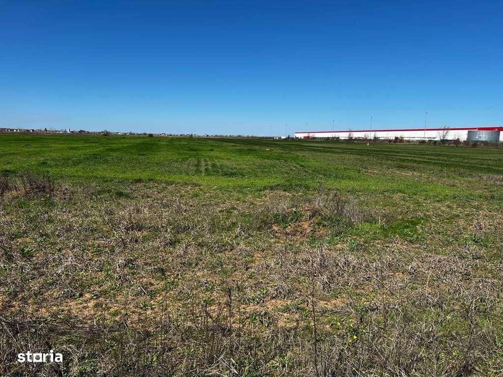 Investitie | Logistica | Productie | 23600 mp |  Centura Bucuresti | - Imagine principală: 5/9