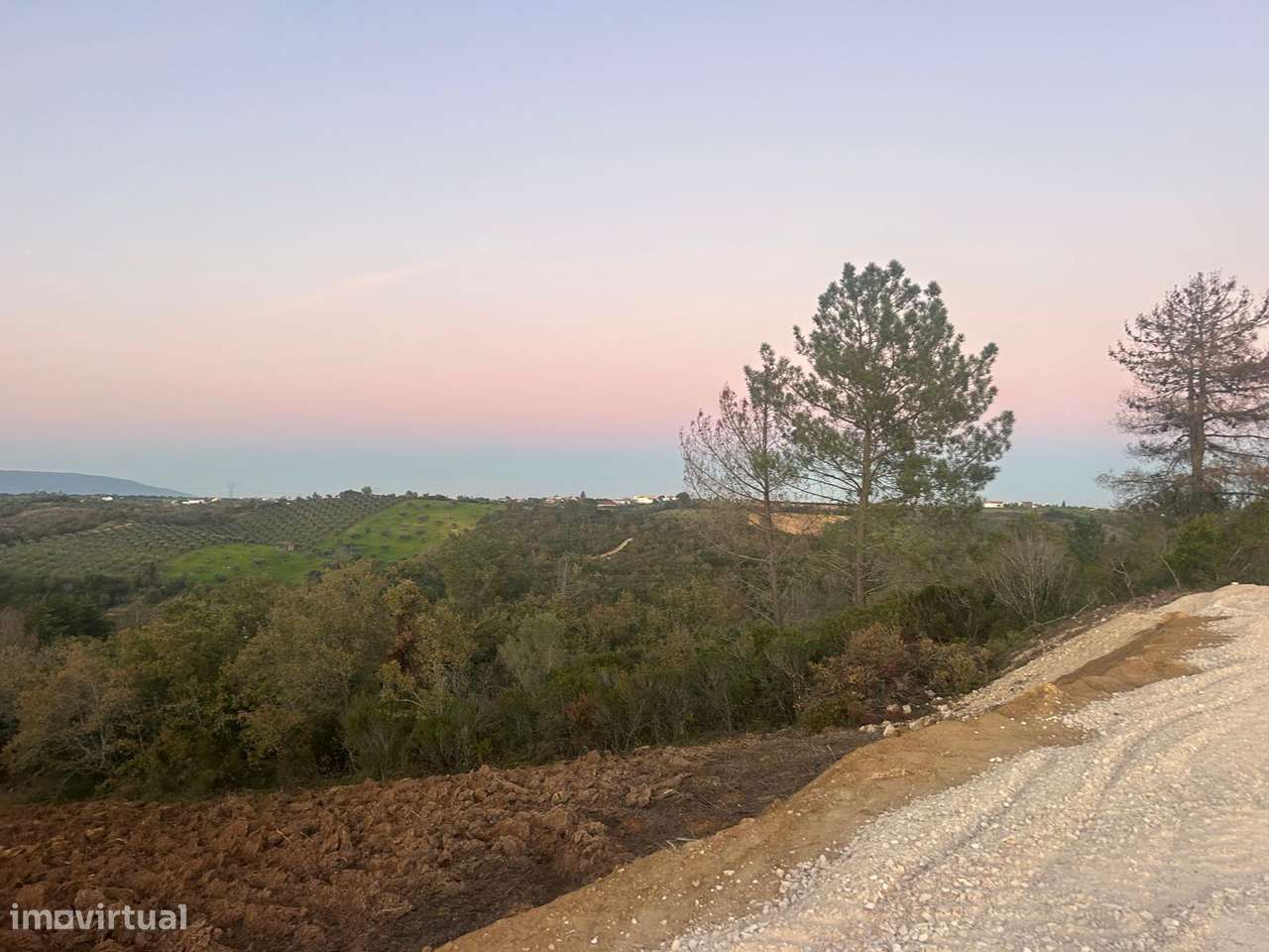 Terreno em Advagar - Santarem - Grande imagem: 5/5