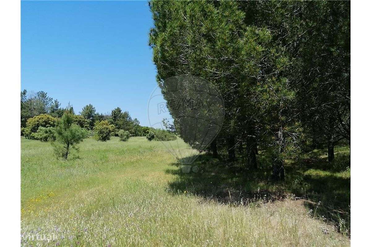 Terreno  para venda-13