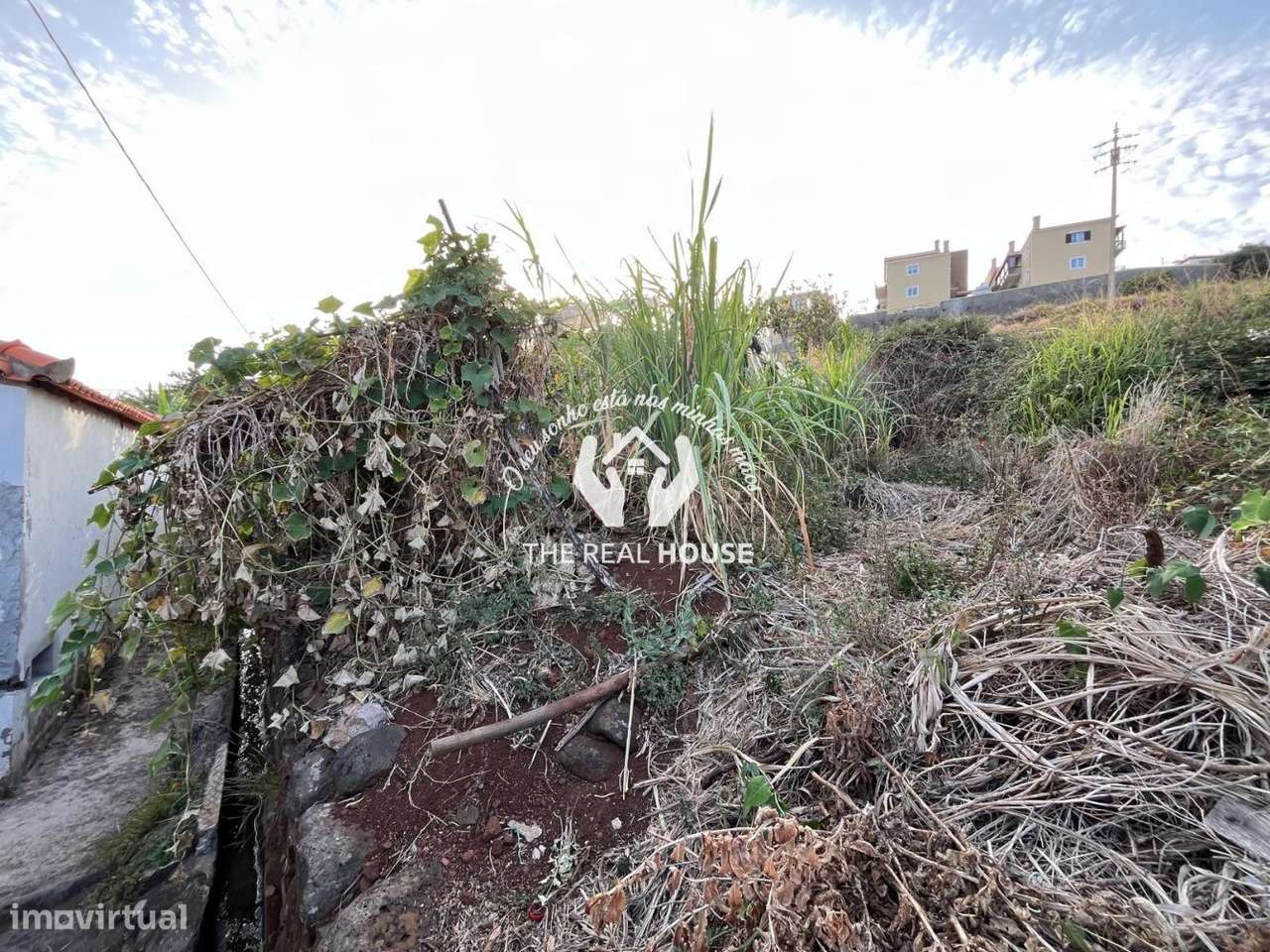 Terreno para Construção em Santa Cruz - Grande imagem: 5/20