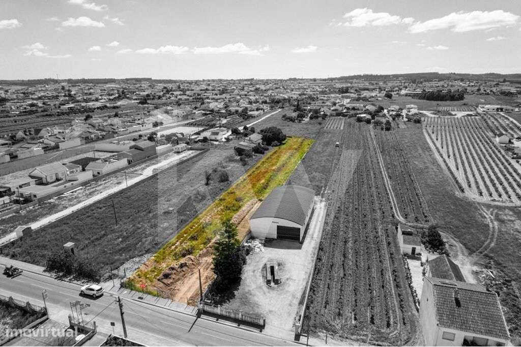 VENDA | Terreno Urbano com 2900m2 nas Fazendas de Almeirim, Almeirim - Grande imagem: 5/16