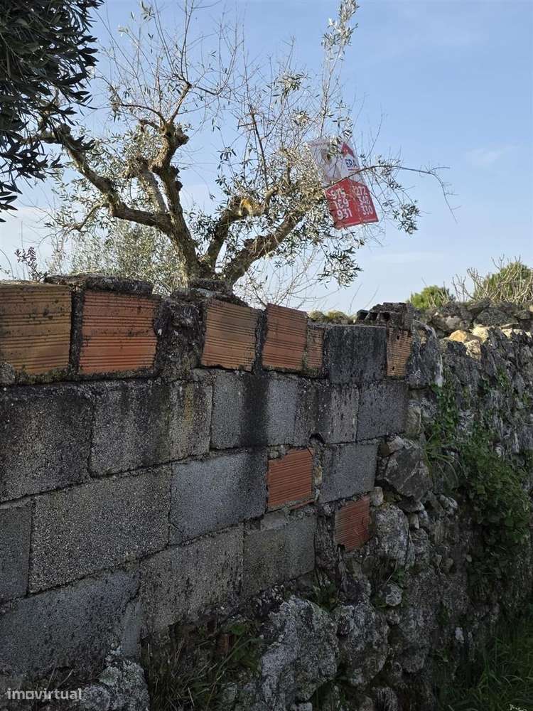 Terreno - Grande imagem: 5/7