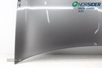 Capot Renault Megane II Fase I|02-06 - 3