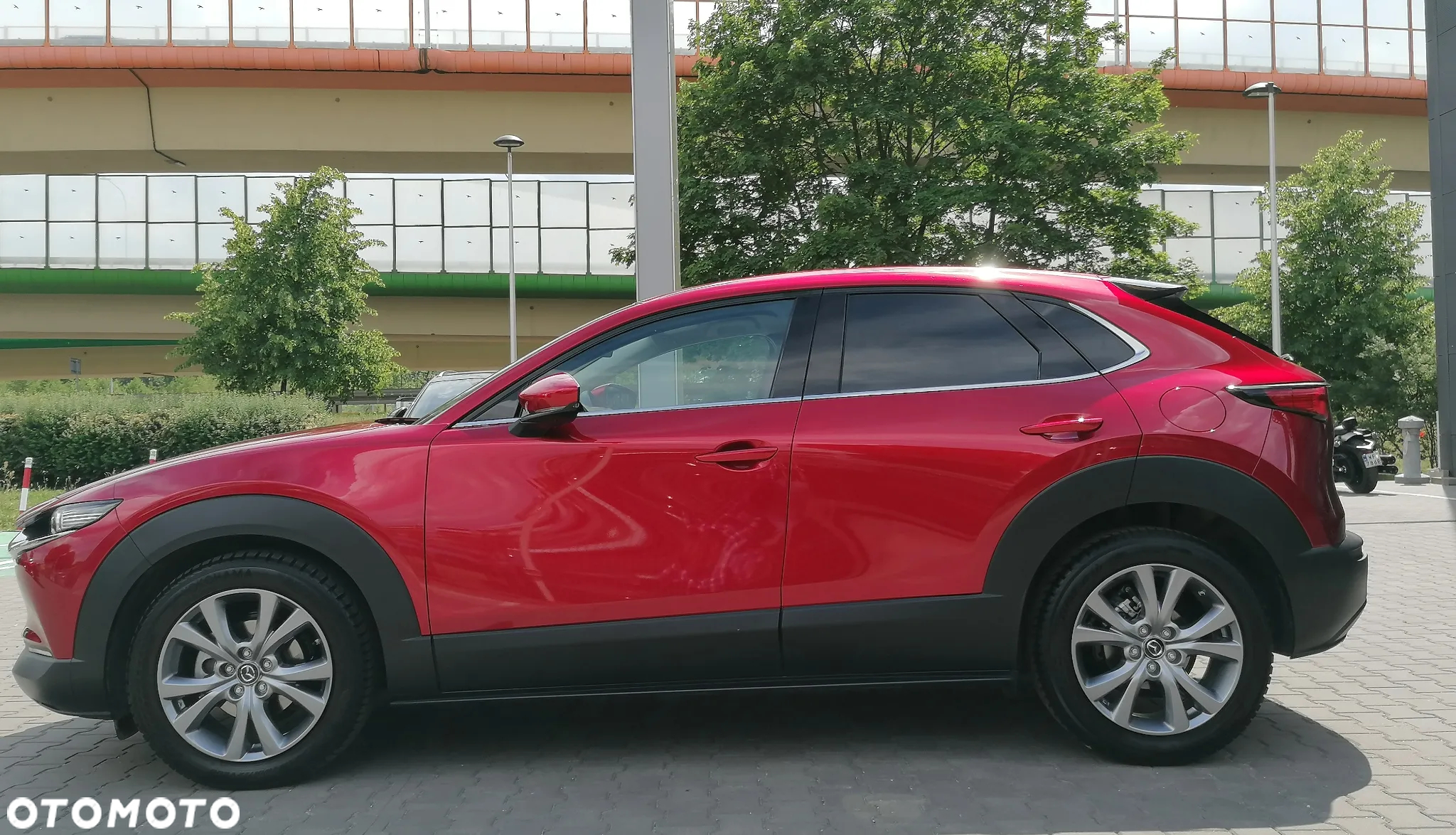 Mazda CX-30 2.0 mHEV Enso 2WD - 5